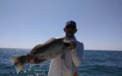 Siesta Key Fishing Charters